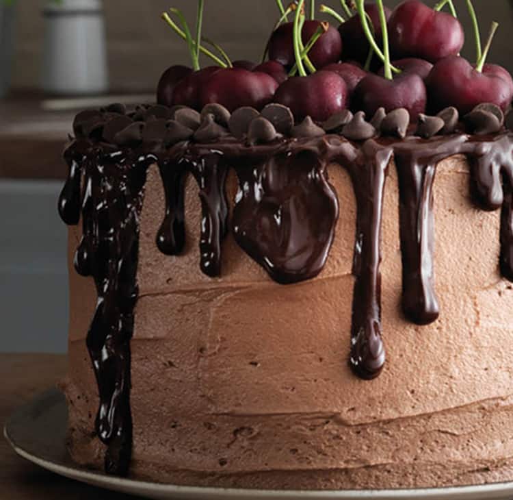 KW_Recipes_Chocolate Cake_750x730px.jpg