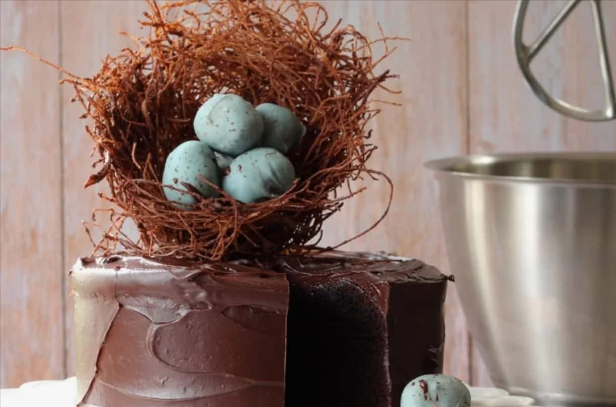 chocolate-birds-nest-gateaux.png