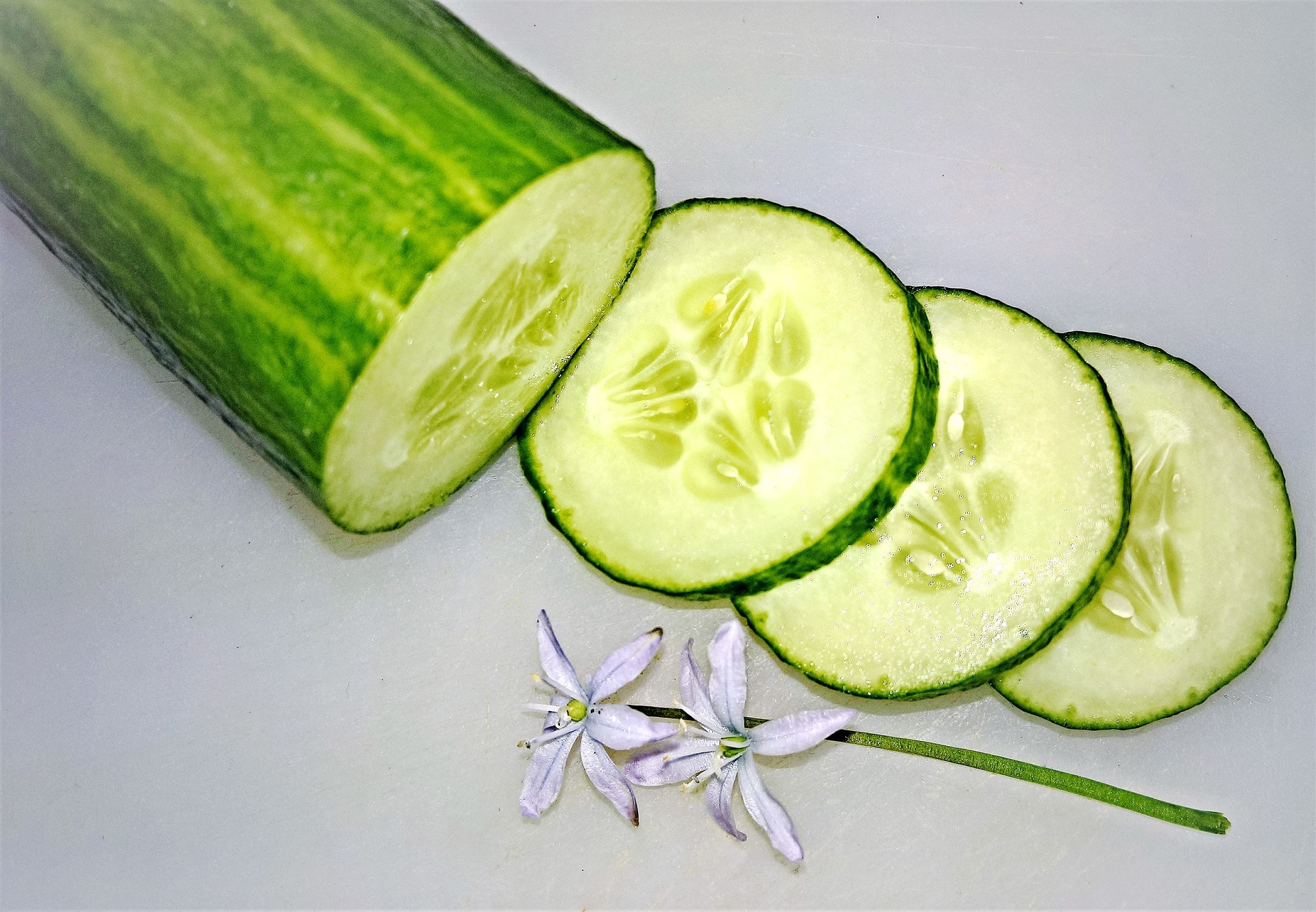 cucumber-5089995_1920.jpeg