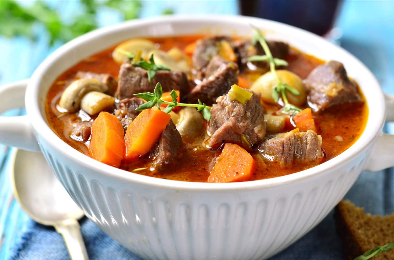 fricandeau-stew.png