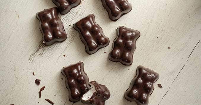oursonchocolatbanner.jpg