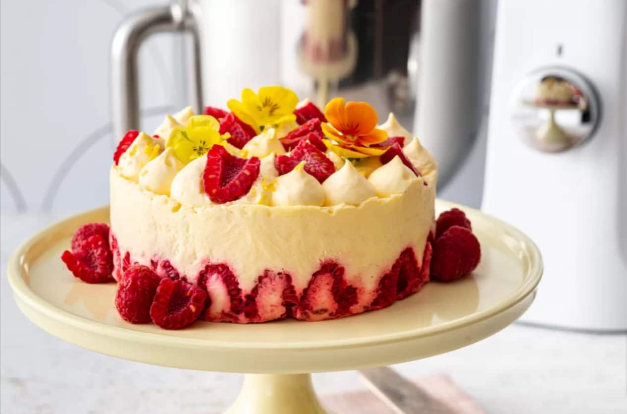 raspberry-and-vanilla-mousse-cake.png