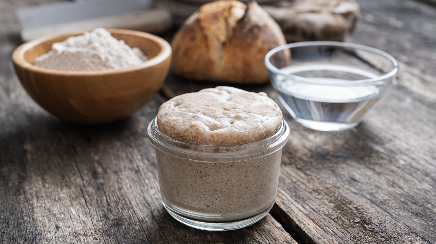 sourdough-starter.png